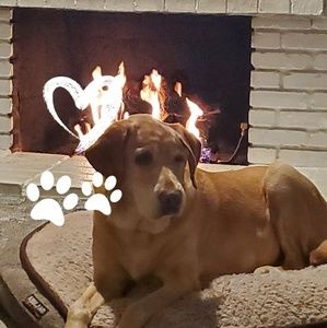 Meet your Posher, Lynn